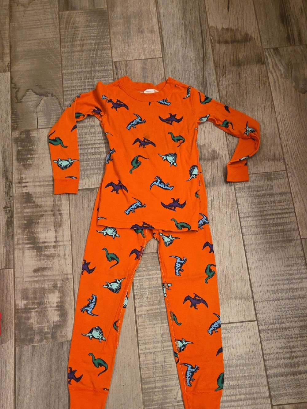 Hanna Andersson Orange Dinosaur Pajama Set